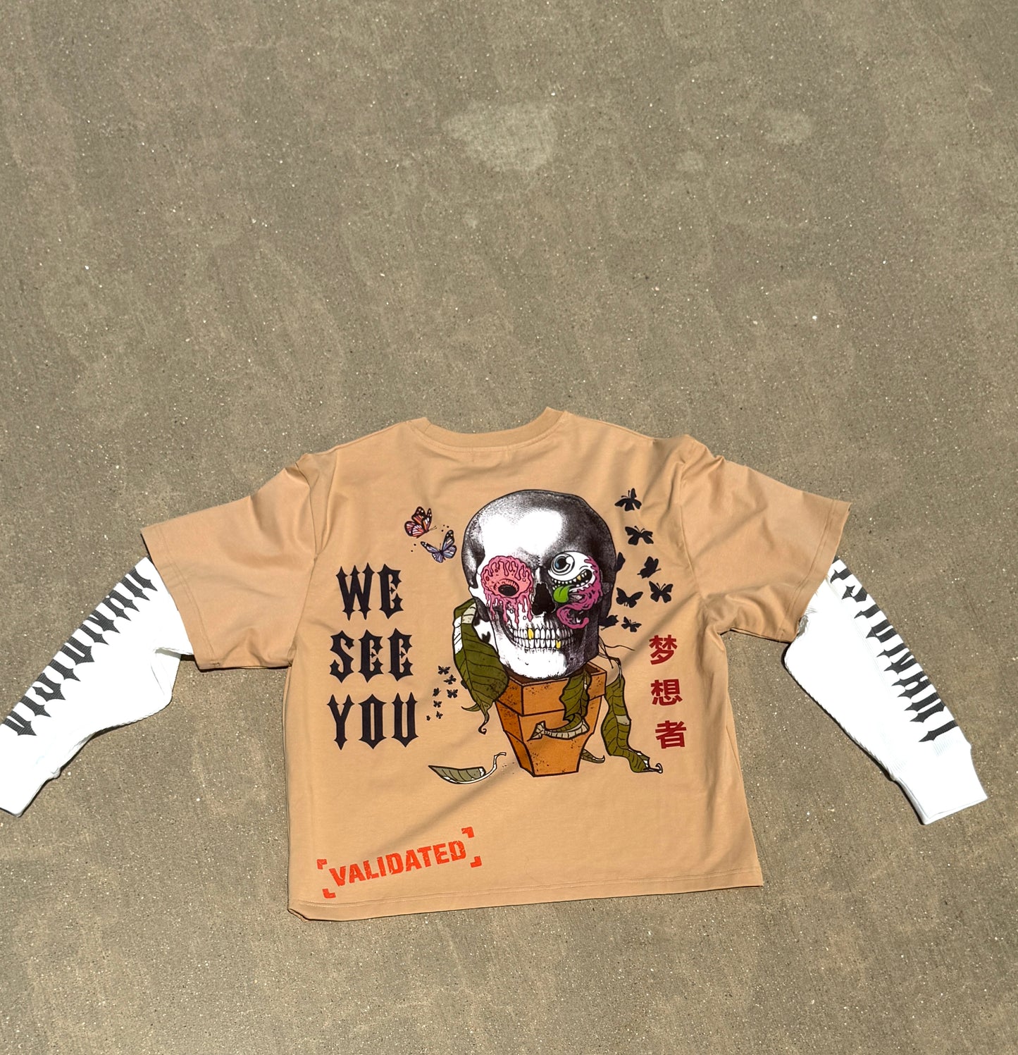 Visionary